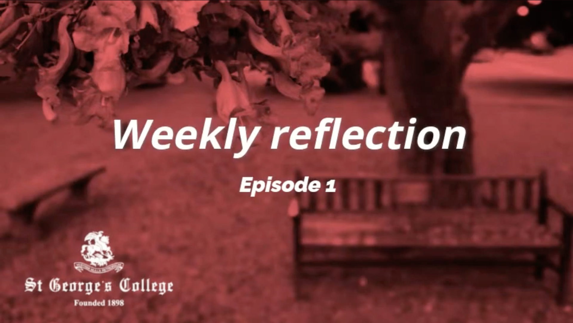Weekly Reflections